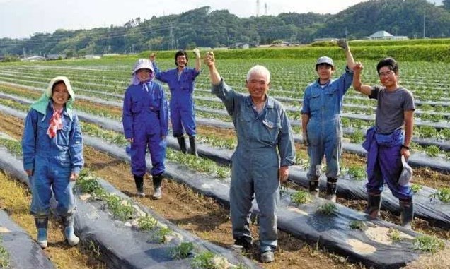 日本勞務(wù)派遣農(nóng)業(yè)類、食品加工、建筑業(yè)、電子業(yè)招聘